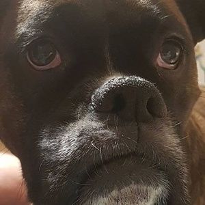 Meet your Posher, Jocelyne